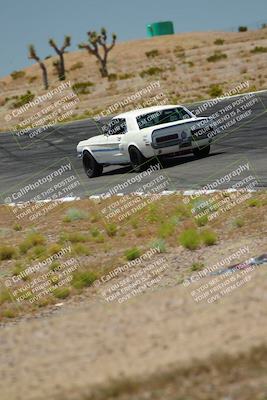 media/May-07-2022-Cobra Owners Club of America (Sat) [[e681d2ddb7]]/White/Session 2 (Front Straight and Turn 1)/